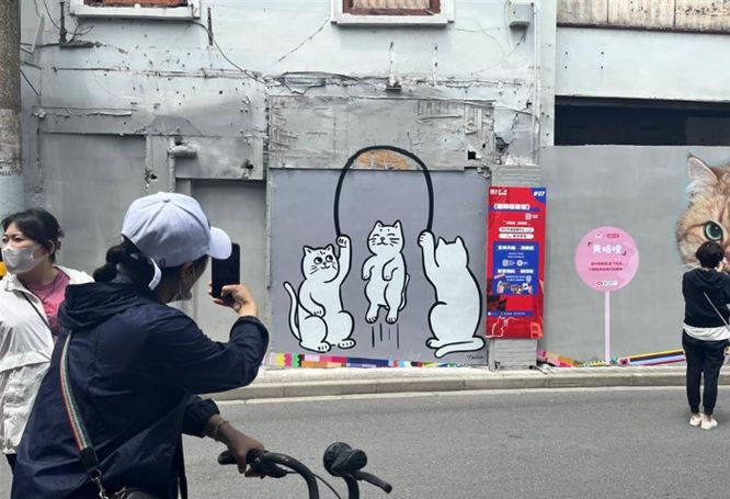 Shanghai cat art