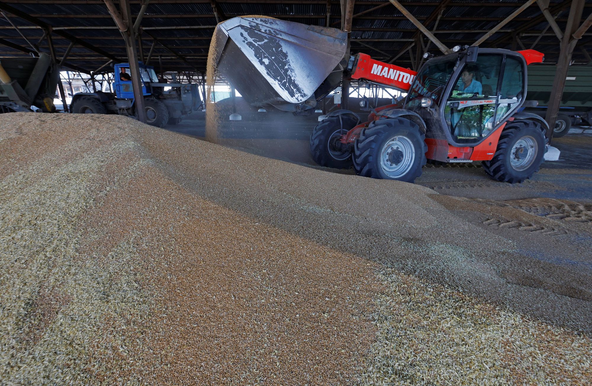 Ukraine grain ban
