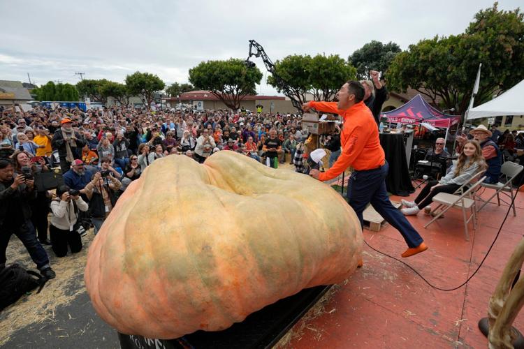 World's biggest pumpkin