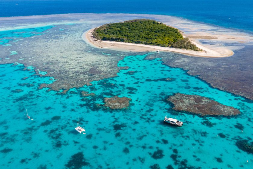 Can scientists save the Great Barrier Reef?