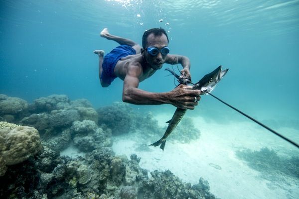 The mysteries of South Asia’s extraordinary Bajau freedivers