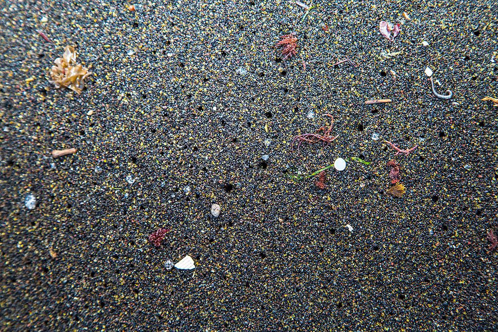 There is a shocking amount – over 2 million tons – of microplastics in the ocean