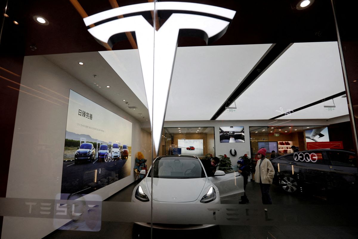 From Tesla's price war in China to a runaway zebra in Seoul – Here's your March 24 news briefing
