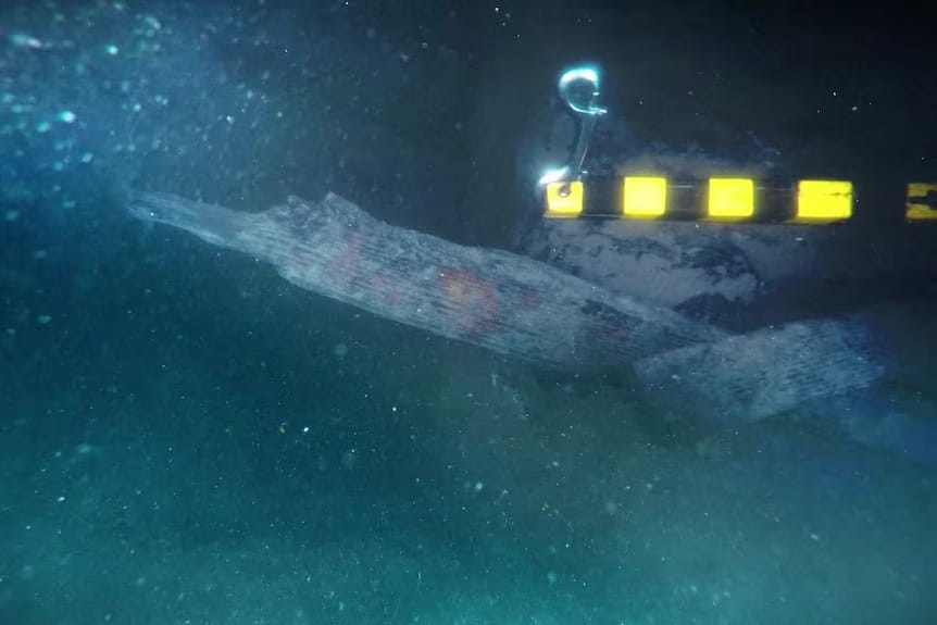 Have scientists found the HMB Endeavour shipwreck?