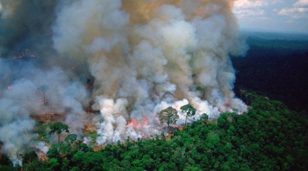 Leonardo DiCaprio responds to Brazil President Bolsanaro about the Amazon Fires