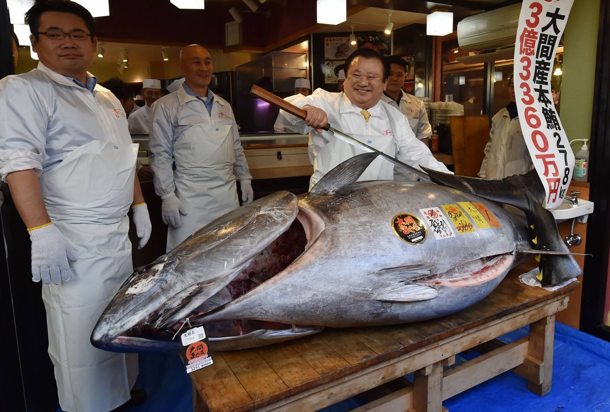 Tuna sells for $1.8 million at Tokyo auction