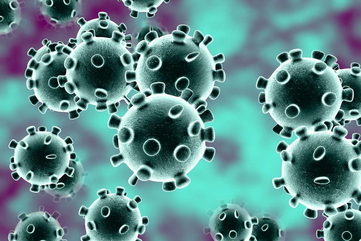 Researchers identify two novel coronavirus strains