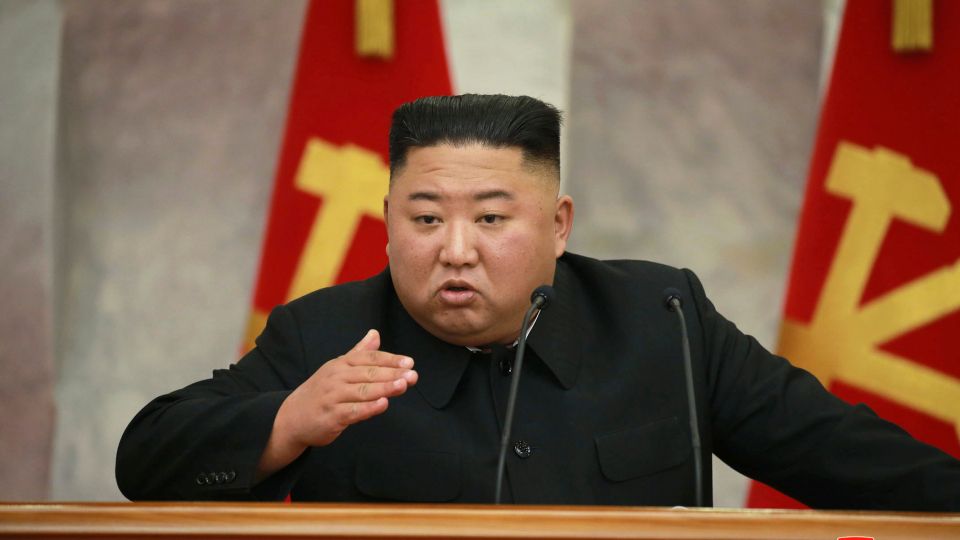 North Korea declares state of emergency over first suspected COVID-19 case
