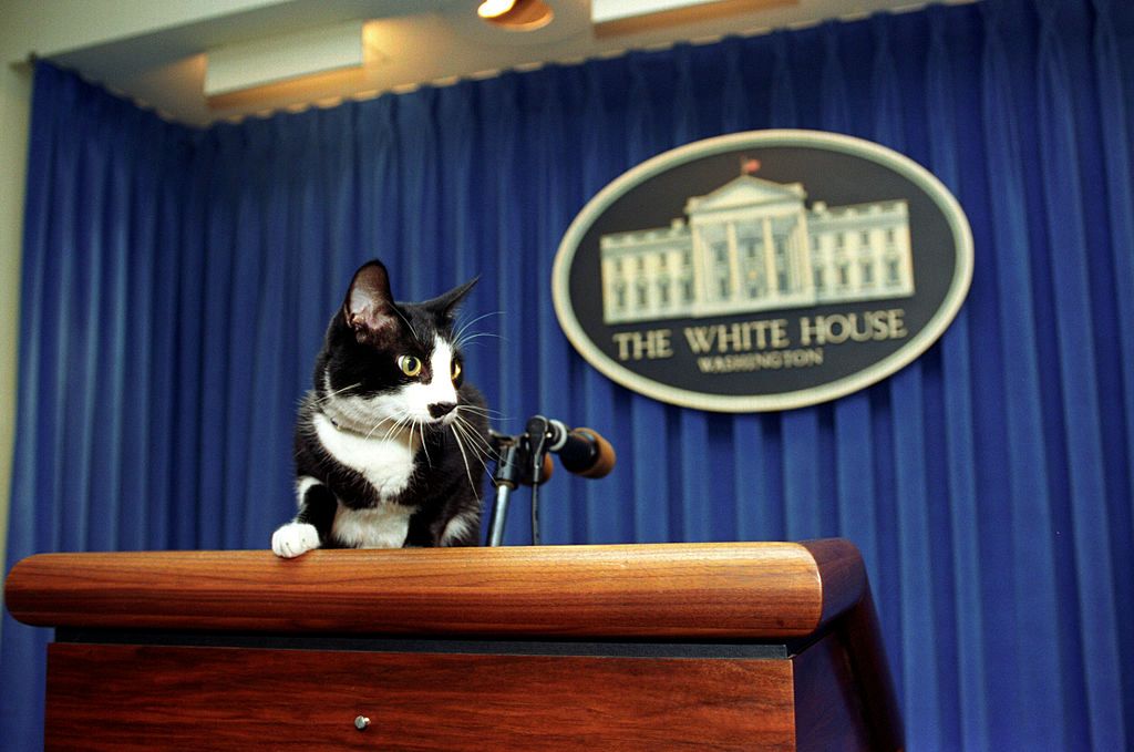 The history of White House pets
