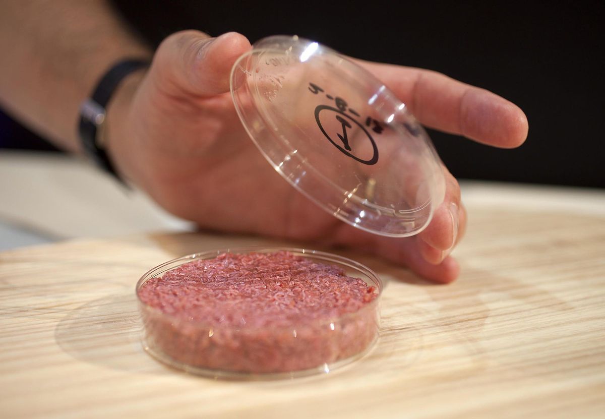 Is a diet based on lab-grown meat the way to reverse climate change?