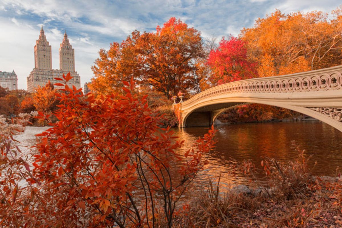 How can you make the most of autumn in New York City?