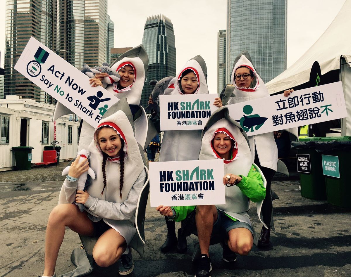 Just say “no” to shark fin soup, says Hong Kong Shark Foundation