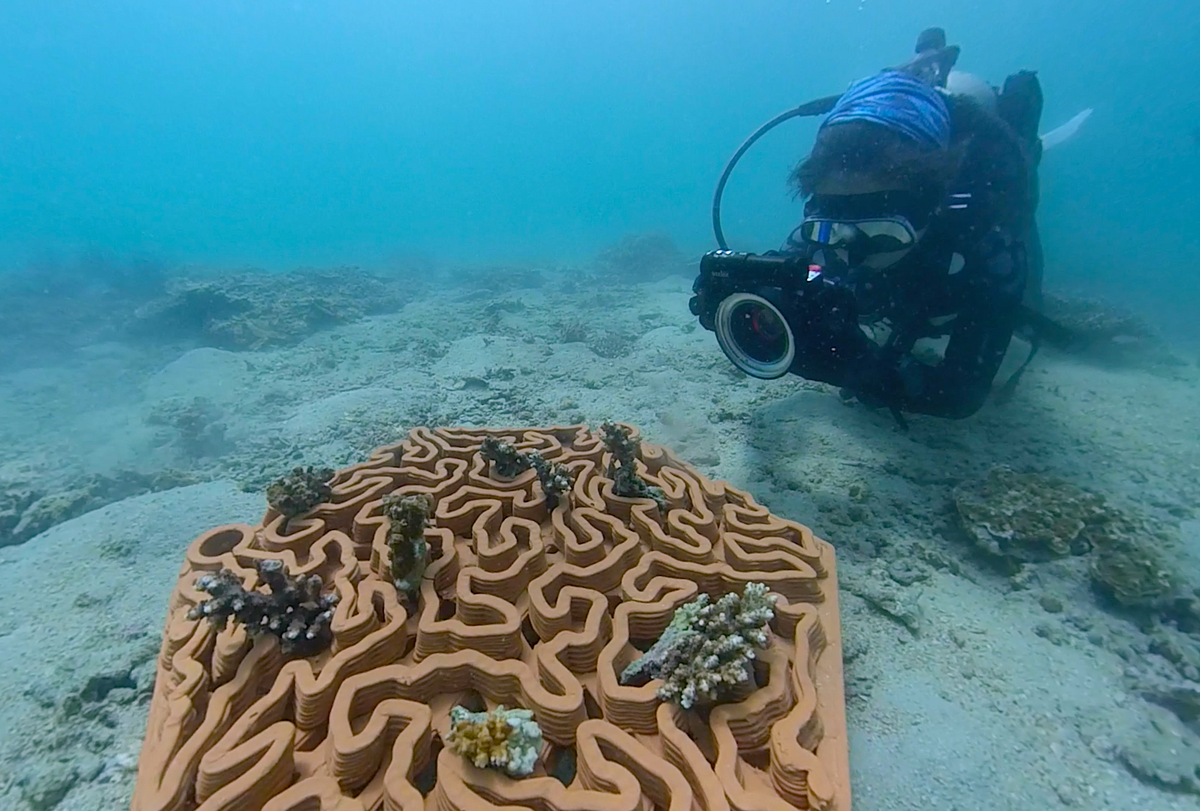 How Hong Kong’s archiREEF is restoring our ocean’s coral reefs with technology