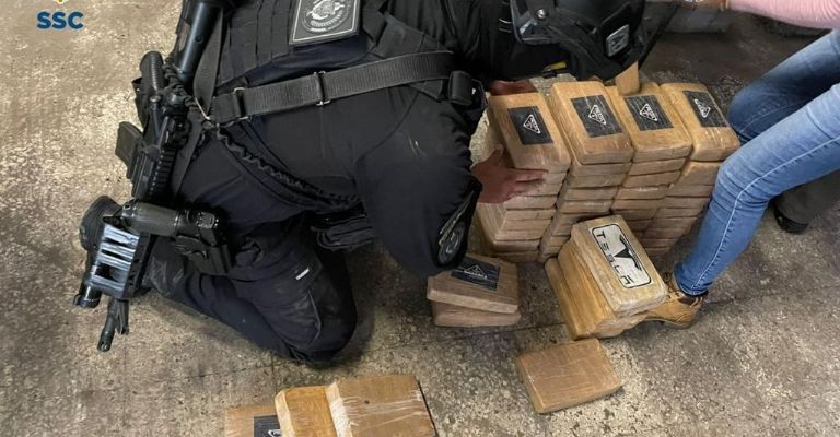 Tesla-branded cocaine seized in Mexico