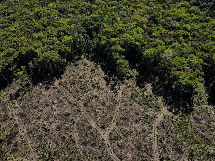The three biggest rainforest nations join together to save the jungle