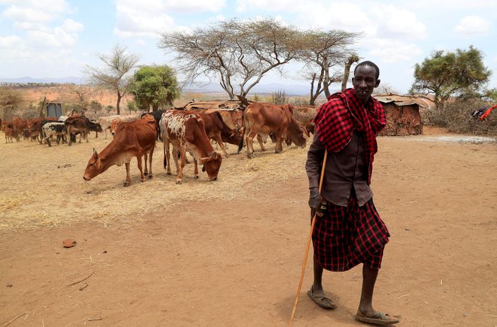 Climate crisis in the Horn of Africa