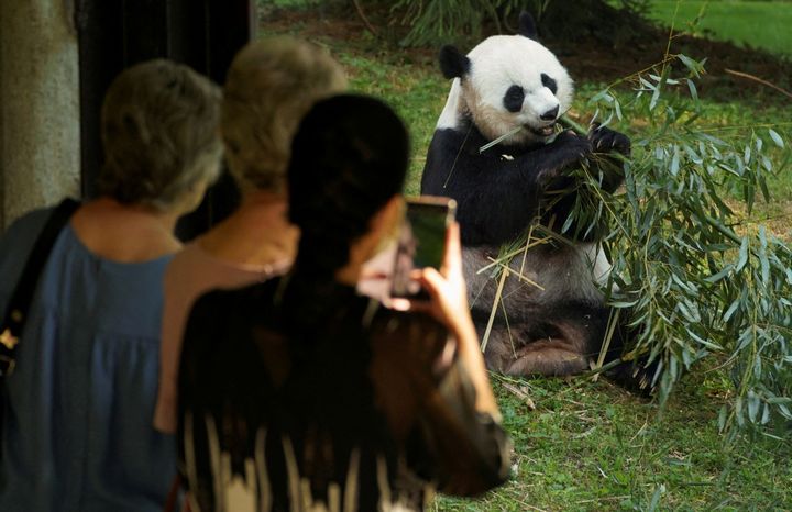 US China panda diplomacy