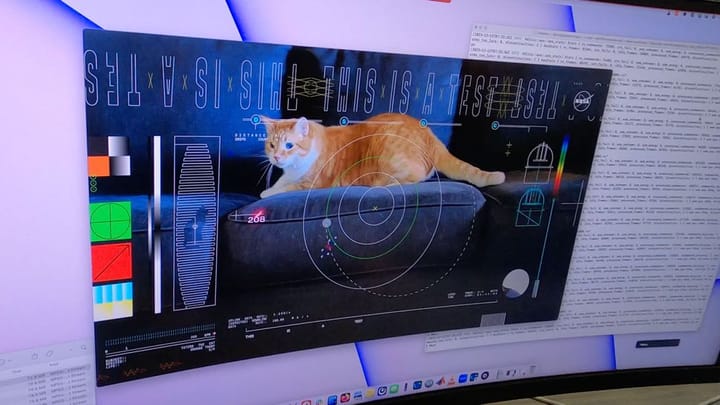NASA cat video