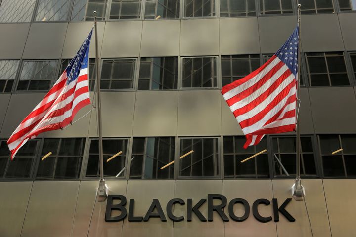 BlackRock and the impact the global climate crisis will have on investments, explained