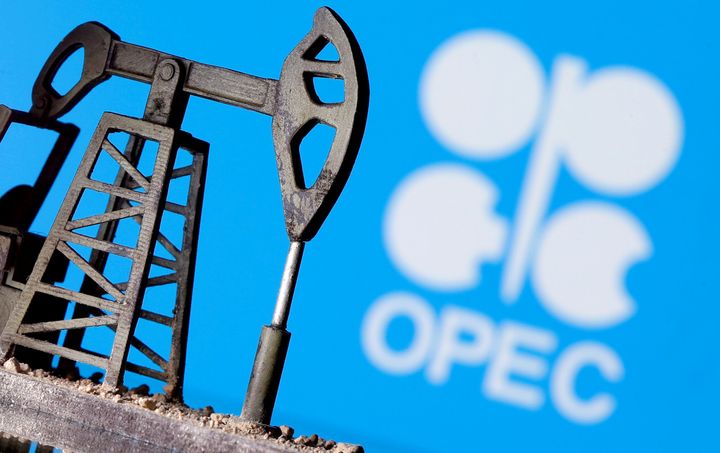 What is OPEC and why is it expecting 2021 to be much better than 2020?
