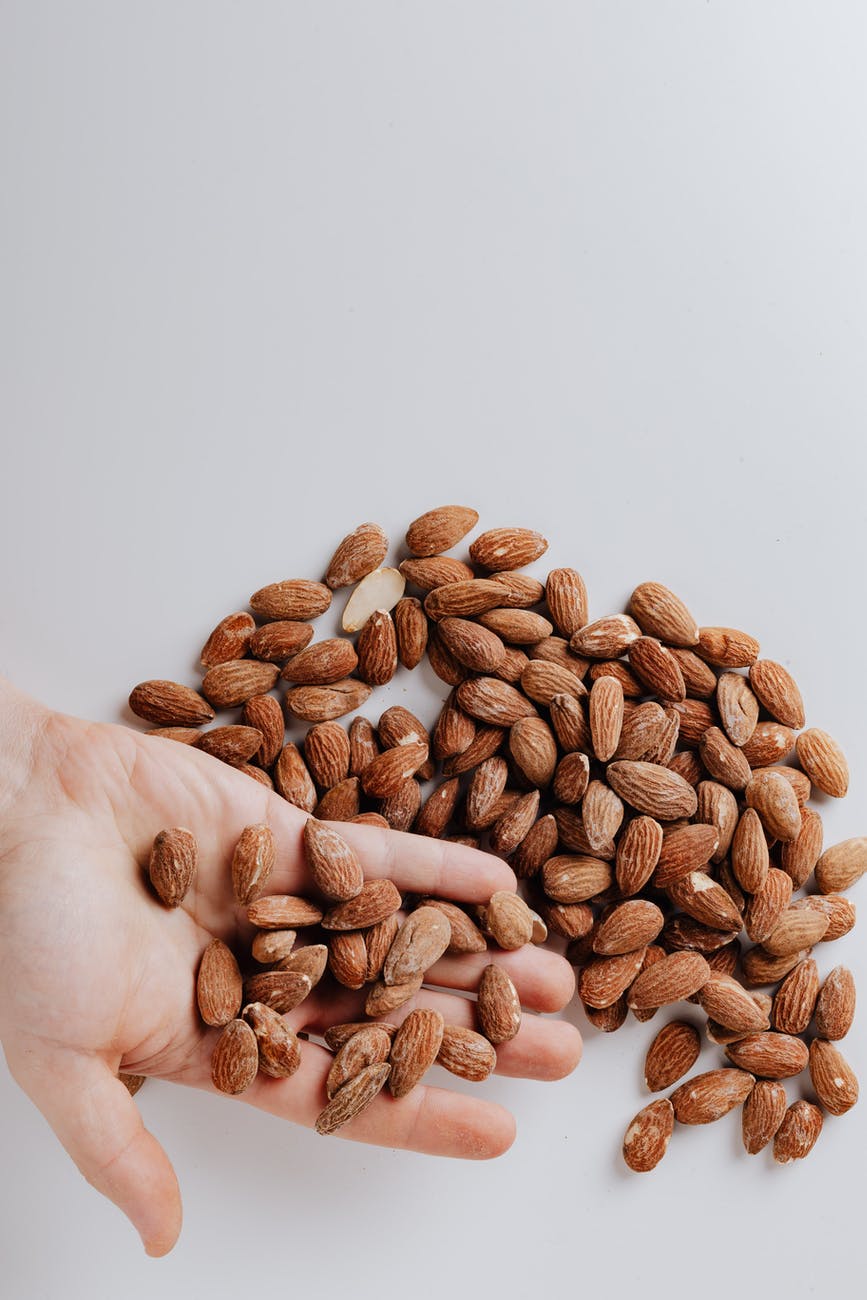 brown almond nuts on persons hand